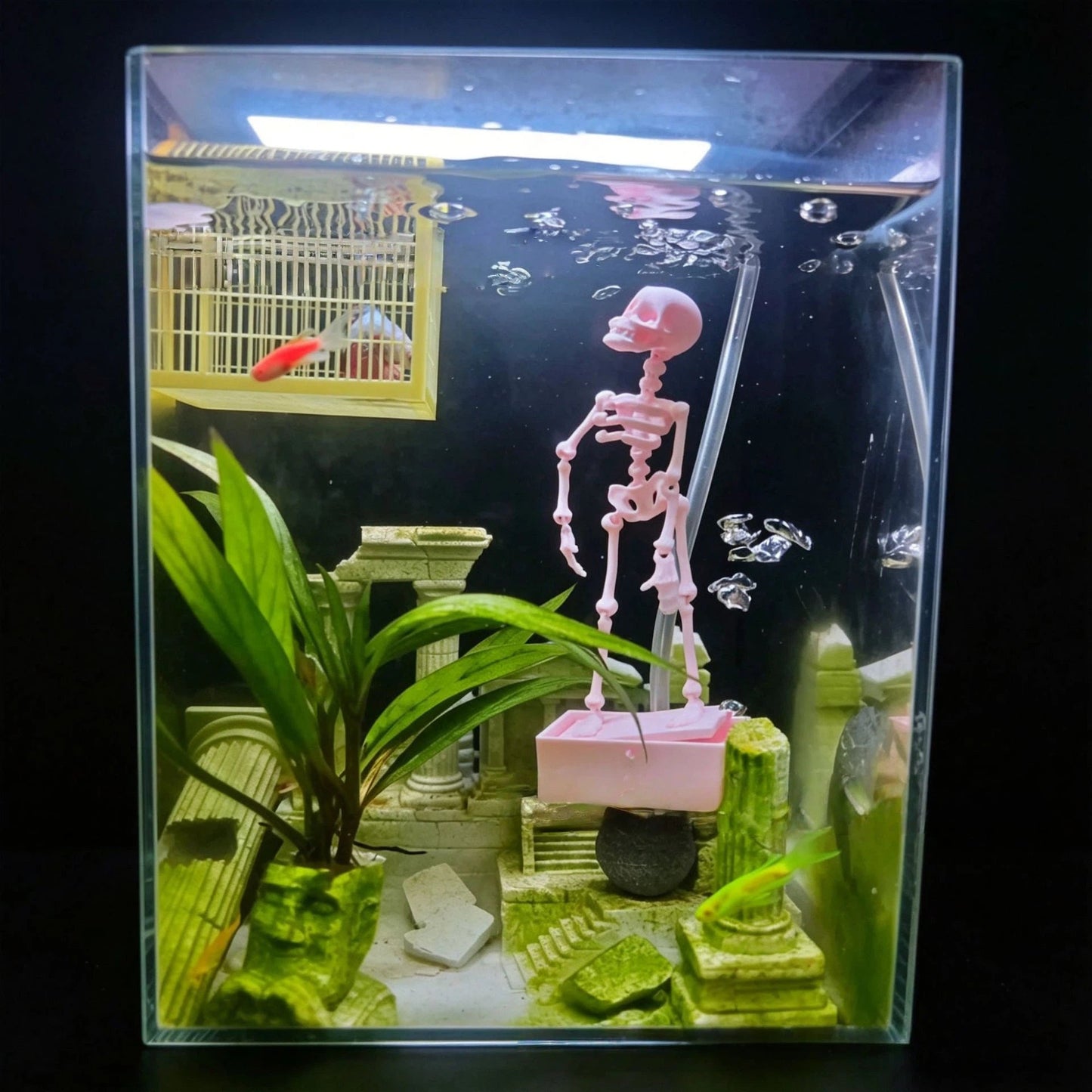 Dancing skeleton underwater