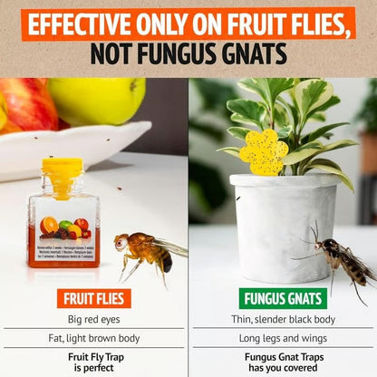 🔥Ultra-Strong Fruit Fly Trap - User Friendly (Up to 3 Weeks per Bottle)